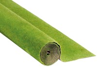Noch 00020  - Gras mat voorjaarsweide-2