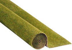 Noch 00265  - Gras mat weide