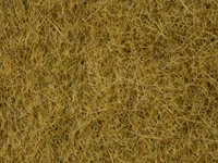 Noch 07091  - Gras wild, beige