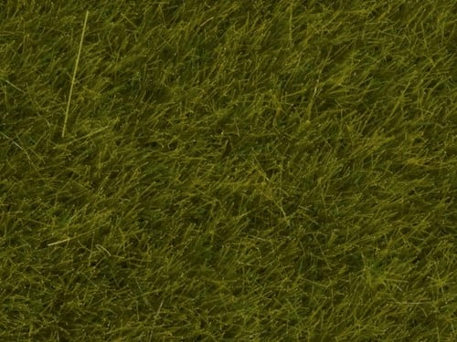 Noch 07100  - Gras wild, weide