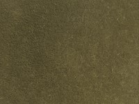 Noch 07122  - Gras wild, bruin