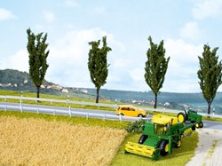 Noch 07421  - Veld mat Natur+,  koren