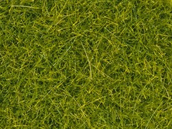 Noch 08363  - Strooigras, lichtgroen