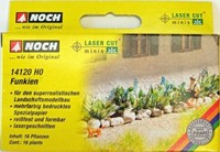 Noch 14120 - Hostas planten-2