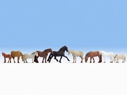 Noch 15761 H0 - Paarden
