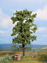 Noch 21780  - Lindeboom