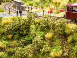 Noch 23102  - Spoordijk beplanting