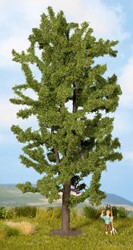 Noch 25880  - Lindeboom