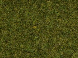 Noch 50220  - Strooigras, Weide