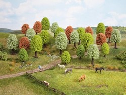 Landschap