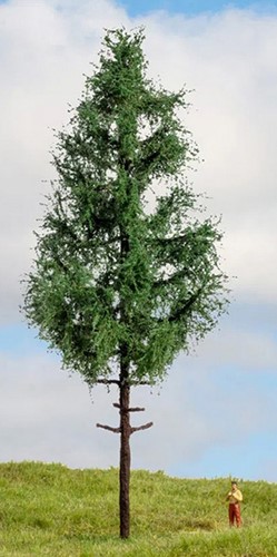 Noch 20196  - Spar, fijn (Master-Bäume 21 cm hoog)