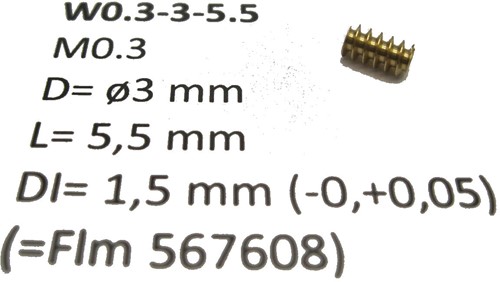 Micromotor.eu W0.3-3.5-5 - M0.3 D=ø3.5 L=5 DI=1.5 mm